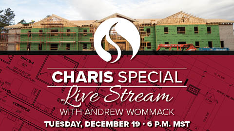 Special Live Stream